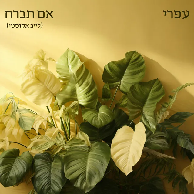 אם תברח - לייב אקוסטי