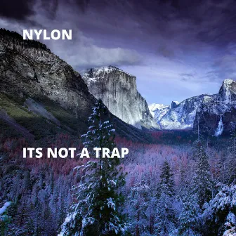 Its Not a Trap by Nylon