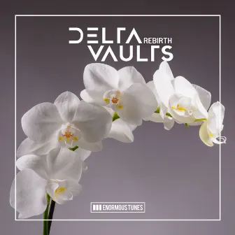 Rebirth by Delta Vaults