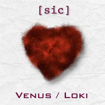 Venus / Loki by Rate & Follow