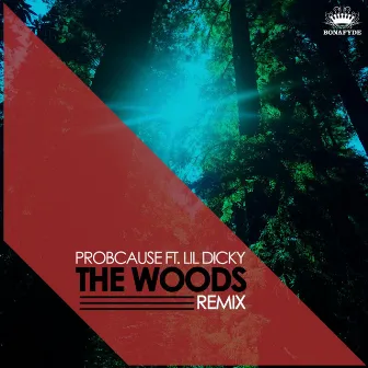 The Woods (Remix) [feat. Lil Dicky] by ProbCause