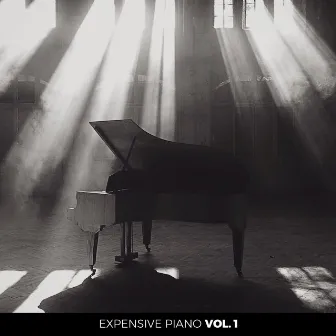 Expensive Piano, Vol. 1 by LAE