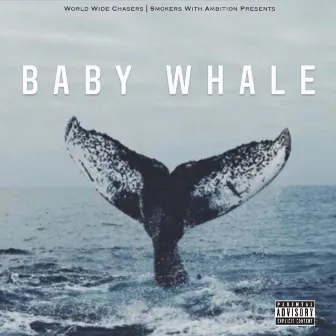 Baby Whale by 2ndchancesimpkins