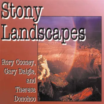 Stony Landscapes by Rory Cooney