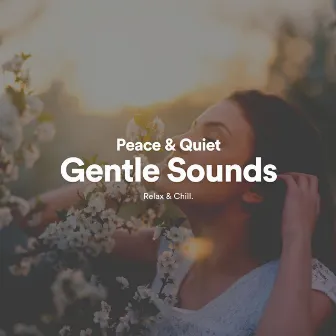 Peace & Quiet Gentle Sounds by Ambient Music by Relax & Chill