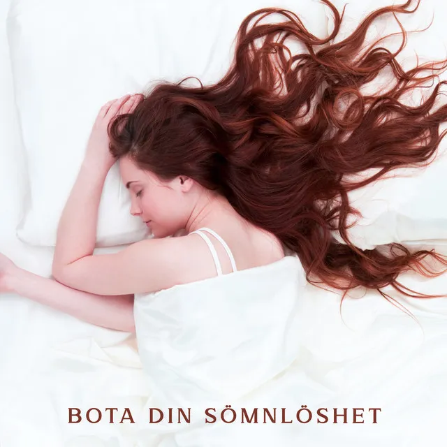 Bota din Sömnlöshet: Sömnmusik för en God Natt