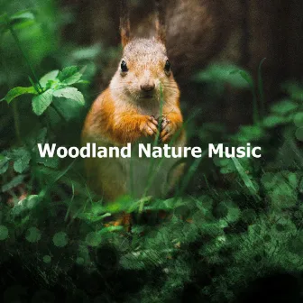 Woodland Nature Music by Natural Woodland Sounds