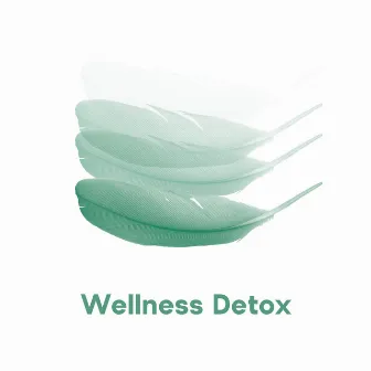 Wellness Detox - Remove Negative Thoughts, Anger with Relaxing Music Perfect for Spa by Spa Music Zone