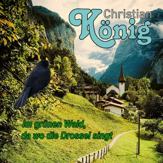 Im grünen Wald, da wo die Drossel singt by Christian König