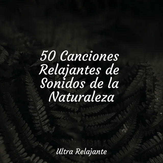 50 Canciones Relajantes de Sonidos de la Naturaleza