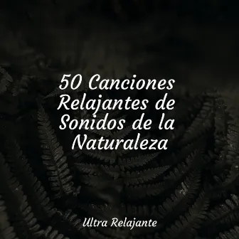 50 Canciones Relajantes de Sonidos de la Naturaleza by Masajes Spas