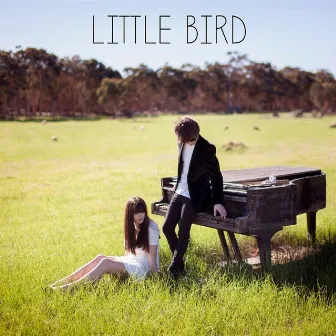 Little Bird by Little Bird