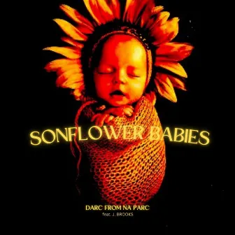 SONFLOWER BABIES by DARC FROM NA PARC