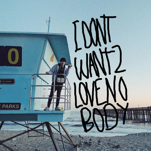 I DON'T WANT TO LOVE NOBODY