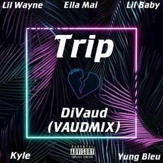 Trip (Remix) by DiVaud