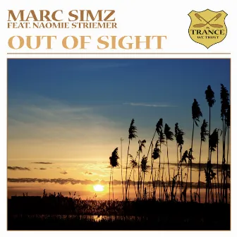 Out of Sight by Marc Simz