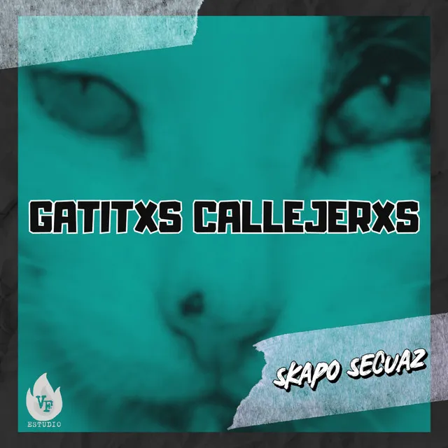 Gatitxs Callejerxs