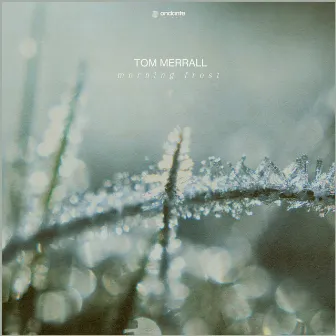 Morning Frost by Tom Merrall