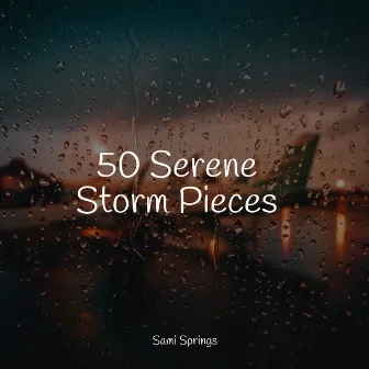 50 Serene Storm Pieces by Sonidos de la Naturaleza