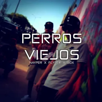 Perros Viejos by Nayper