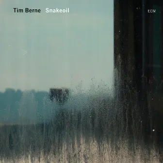 Snakeoil by Tim Berne