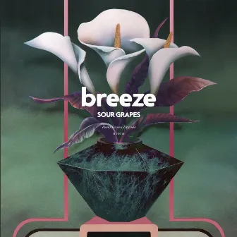 You've Decided by Breeze