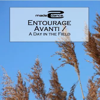 Avanti / A Day In The Field by Entourage