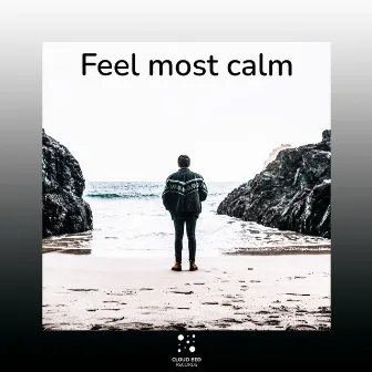 Feel most calm by Hopefulness