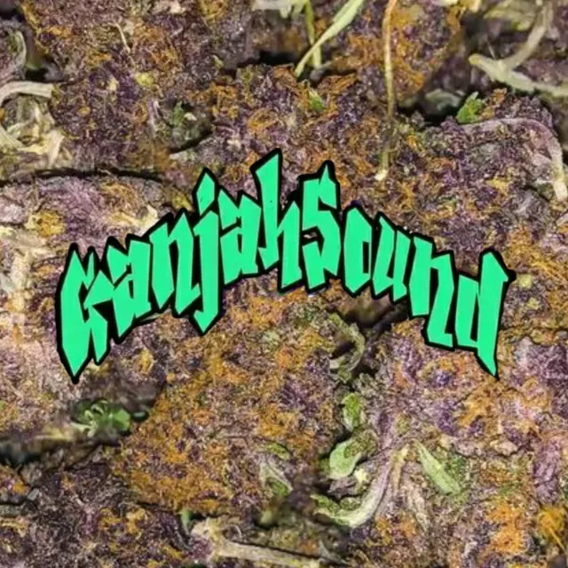 Purple kush