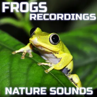 Frogs Recordings Nature Sounds by Frogs Recordings