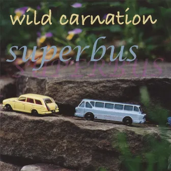 Superbus by Wild Carnation