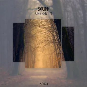 Oberheim EP (Stream Edition) by Solink