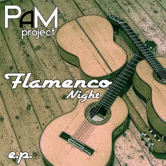 Flamenco Night by Pam Project