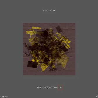 Acid Symphonie EP by Uper Acid