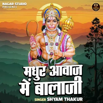 Madhur Aawaj Me Balaji (Hindi) by Shyam Thakur