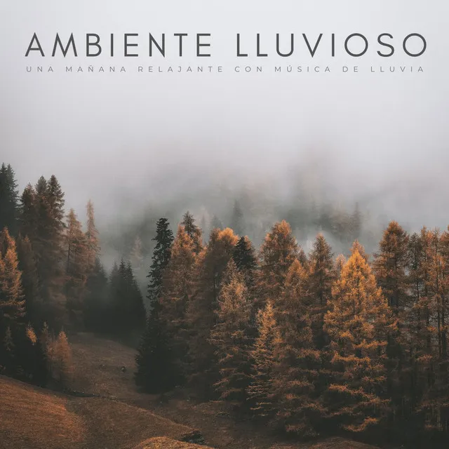 Ambiente Lluvioso: Una Mañana Relajante Con Música De Lluvia