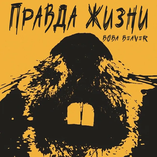 Вова Beaver