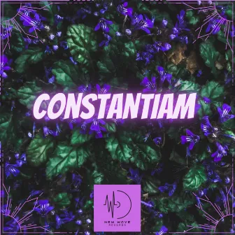 Constantiam by Riggs