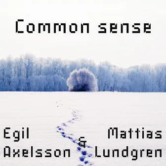 Common sense by Egil Axelsson