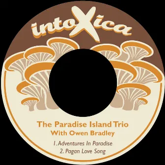 Adventures in Paradise by Paradise Island Trio