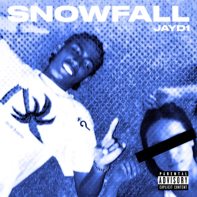 Snowfall