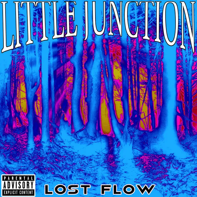 Lost Flow