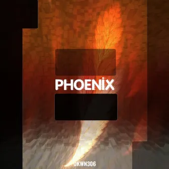 Phoenix by U N D E R - I