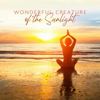 Wonderful Creature of the Sunlight by Jeff Vedas