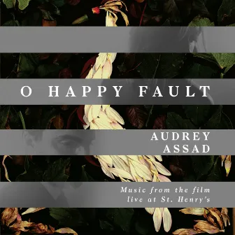 O Happy Fault by Audrey Assad