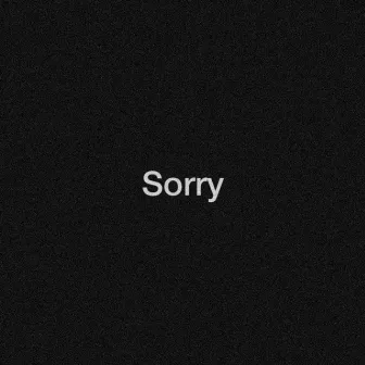 sorry by altra