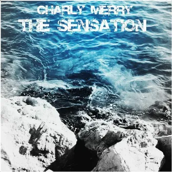 The Sensation by Charly Merry