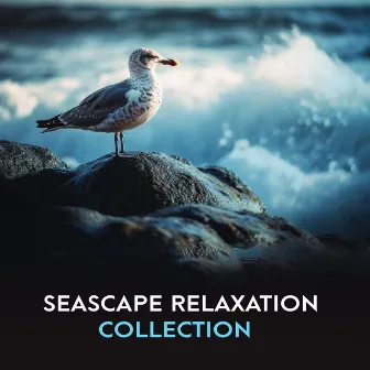 Seascape Relaxation Collection by Waterscapes