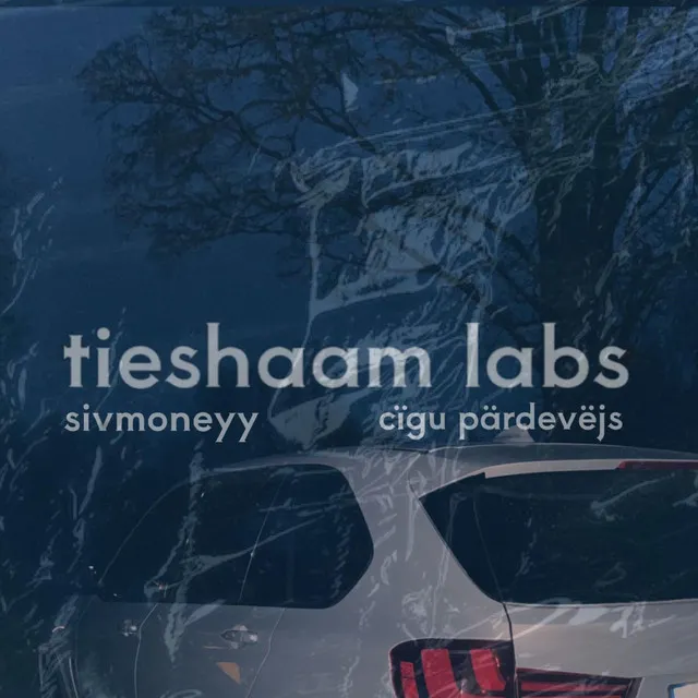 tieshaam labs