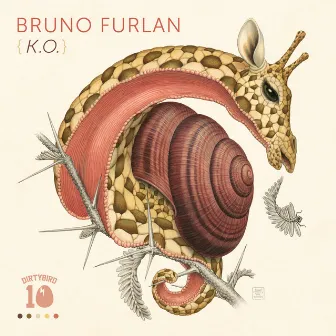 K.O. by Bruno Furlan